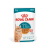 (秋日勁減優惠: 正價$170) Royal Canin CAT (FHN) 11+ Senior Cats (Gravy) 健康營養系列 老年貓11+ 主食濕糧(肉汁) (4200200) 85g X 12 原盒 (原裝行貨)